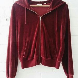 Velvet aritzia hoodie